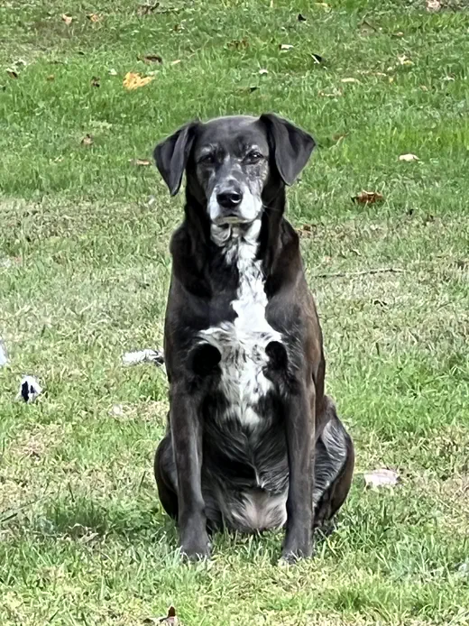 Ally looking toward the camera