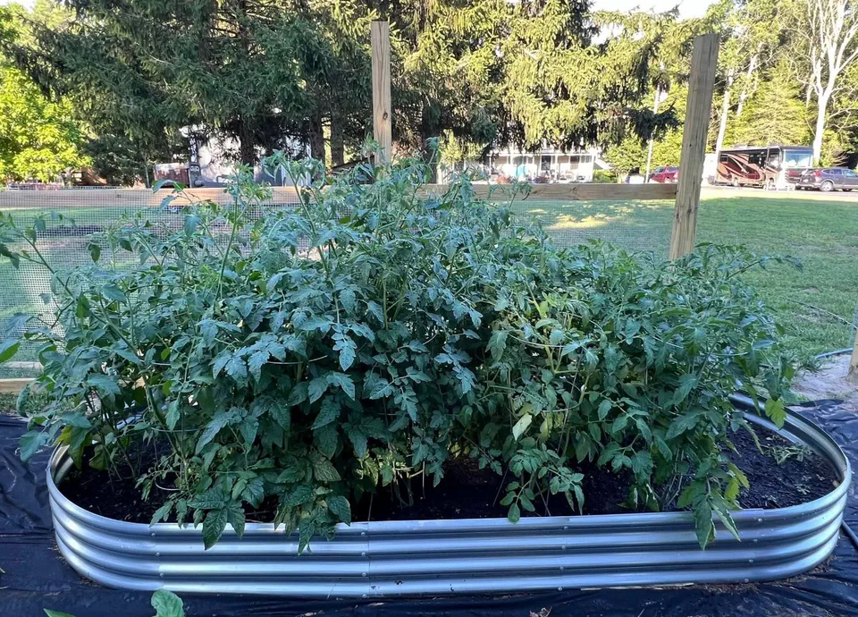 Garden beds and green lawn at Three Meadows farm